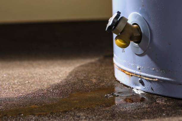 Trusted Elizabeth, CO Water damage restoration Experts