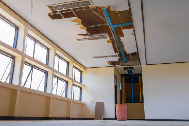 Best Basement water damage restoration  in Elizabeth, CO