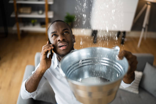 Best Flooded house restoration  in Elizabeth, CO