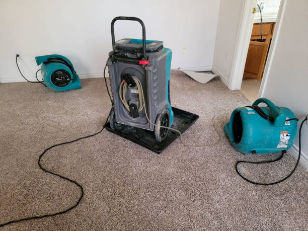 Best Carpet water damage restoration  in Elizabeth, CO