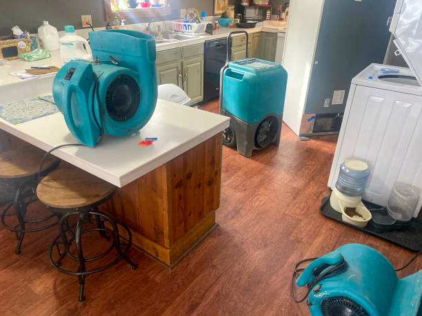 Best Local water damage restoration  in Elizabeth, CO