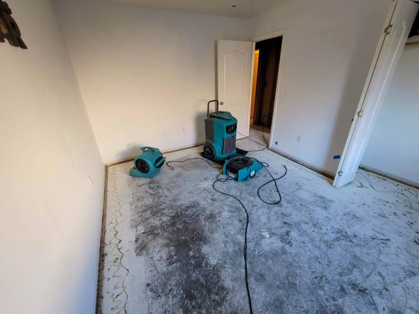 Best Flood damage cleanup  in Elizabeth, CO