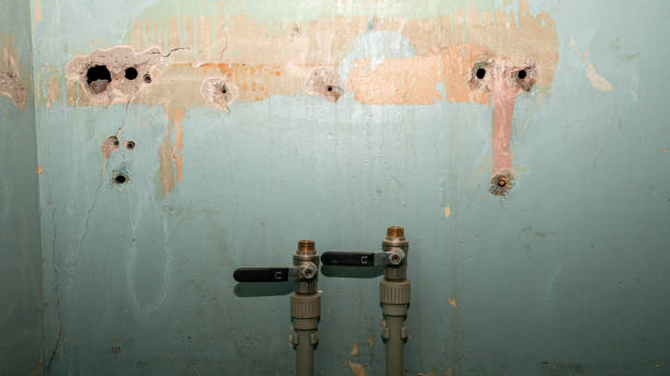 Best Water damage restoration near me  in Elizabeth, CO