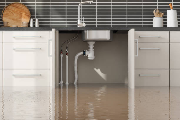 Best Water damage restoration near me  in Elizabeth, CO