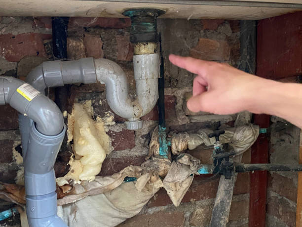 Best Flooded house restoration  in Elizabeth, CO
